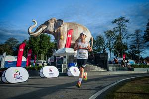 BIB: 
                            <button type="button" onclick="openModal(26541595)" class="btn btn-primary btn-sm float-right btn-popup" data-toggle="modal" data-target=".modal-high-quality">
                        <i class="fas fa-shopping-cart"></i> Add to Cart
                    </button>
                                            <button type="button" onclick="isThisMe(26541595, true)" class="btn btn-success btn-sm float-right btn-popup btn-isme hidden" data-toggle="tooltip" data-placement="bottom" title="นี่คือรูปของคุณใช่ไหม คลิกที่นี่เพื่อเอาเข้าอัลบั้ม">
                        <i class="fas fa-plus"></i> Add to album
                    </button>
                    <button type="button" onclick="isThisMe(26541595, false)" class="btn btn-warning btn-sm float-right btn-popup btn-isnotme hidden">
                        <i class="fas fa-ban"></i> Remove from album
                    </button>